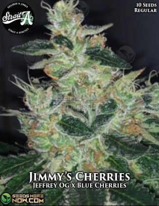 Jimmy's cherries (regular) - strait a genetics