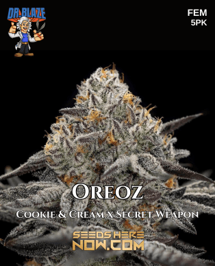 Oreoz s1 (feminized) - dr. Blaze