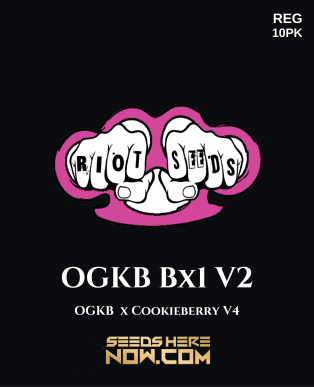 Ogkb bx1 v2 (regular) - riot seeds