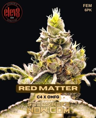 Red matter (feminized) - elev8 seeds