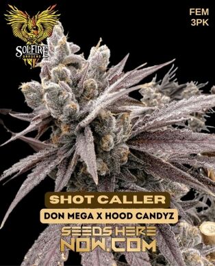 Shot caller (feminized) - solfire gardens