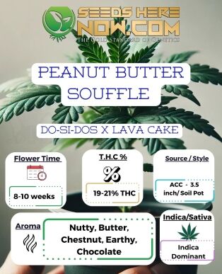 Peanut butter souffle clones- acc