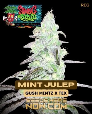Mint julep (regular) - shindig seed co.