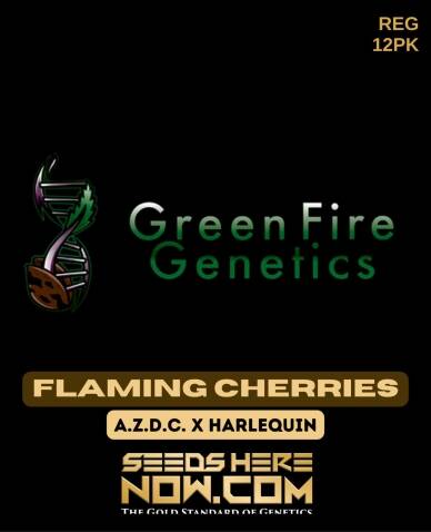 Flaming Cherries (Regular) (space) Green Fire Genetics