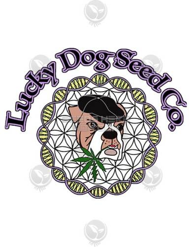Guerilla Fume (Regular) (space) Lucky Dog Seed Company