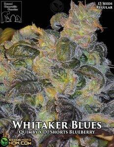 Whitaker Blues (Regular) (space) Second Generation Genetics