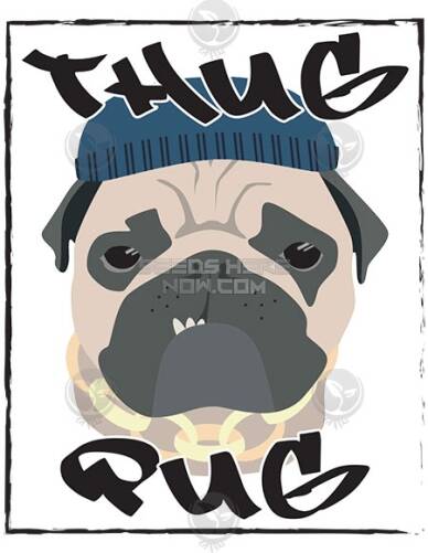 Glukie Breath (Regular) (space) Thug Pug Genetics