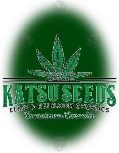 katsu(space)seeds(space)ph