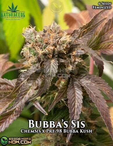 Bubba's Sis (Feminized) (space) Katsu Seeds