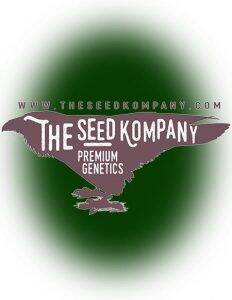 The(space)seed(space)kompany(space)logo