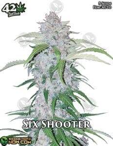 Six Shooter Auto (Autoflower) (space) Fast Buds