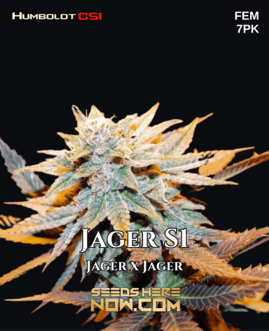 Jager S1 (Feminized) (space) CSI Humboldt