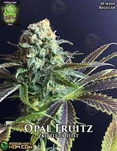 Opal Fruitz (Regular) (space) Trichome Jungle