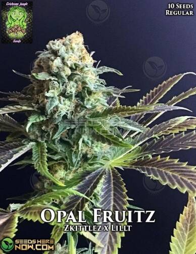 Opal Fruitz (Regular) (space) Trichome Jungle