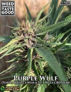 Purple Wulf (Regular) (space) Weed Should Taste Good