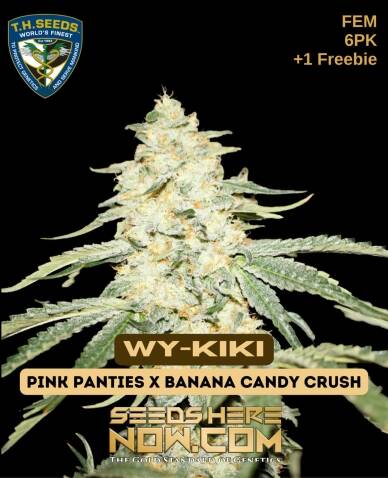 Wy(space)Kiki Bonus Pack (Feminized) (space) T.H. Seeds
