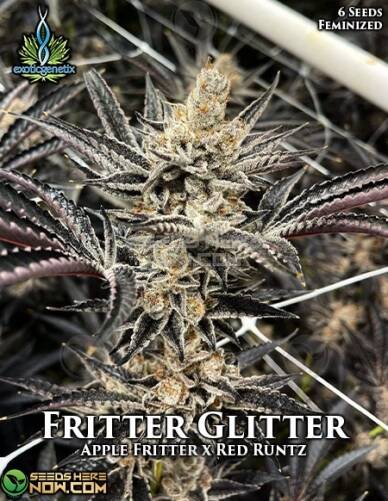 Fritter Glitter (Feminized) (space) Exotic Genetix