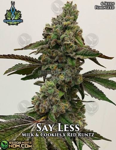 Say Less (Feminized) (space) Exotic Genetix