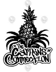 Flight 38 (Regular) (space) The Captain's Connection