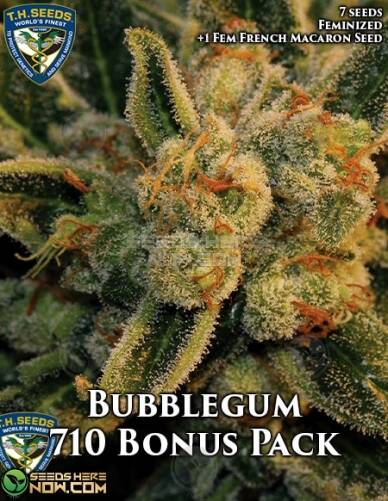 Bubblegum Bonus Pack (Feminized) (space) T.H. Seeds