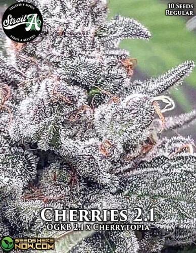 Cherries 2.1 (Regular) (space) Strait A Genetics