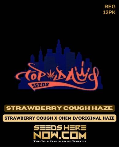 Strawberry Cough Haze (Regular) (space) Top Dawg Seeds