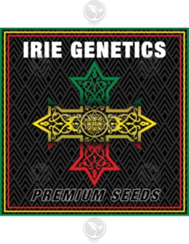 Irie Genetics