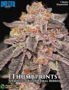 Thumbprints (Feminized) (space) Sin City Seeds