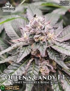 Queen's Candy F3(Regular) (space) Emerald Mountain Legacy