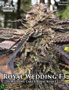 Royal Wedding F3(Regular) (space) Emerald Mountain Legacy