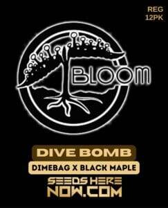 Dive Bomb (Regular) (space) Bloom Seed Co.