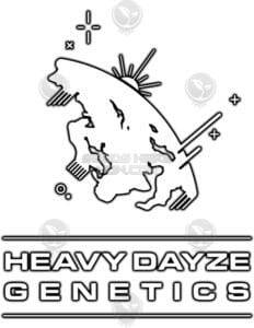 Chromatic (Feminized) (space) Heavy Dayze Genetics