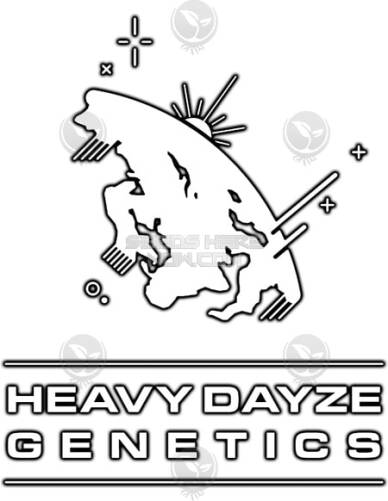 Chromatic (Feminized) (space) Heavy Dayze Genetics