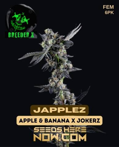Japplez (Feminized) (space) Breeder X