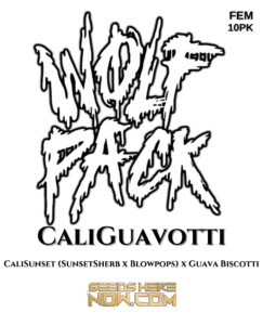CaliGuavotti (Feminized) (space) Wolfpack Selections