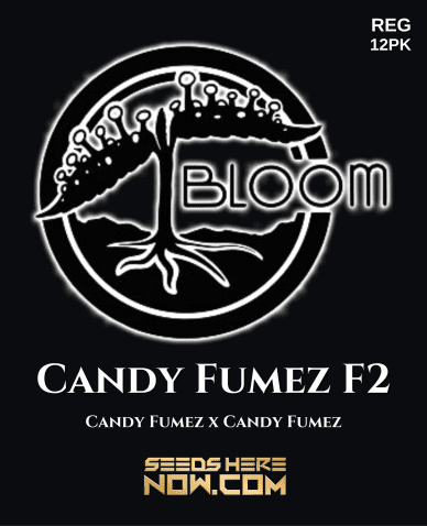 Candy Fumez F2 (Regular) (space) Bloom Seed Co.