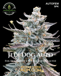 Jedi Dog Auto (Autoflower) (space) Precursor Genetics