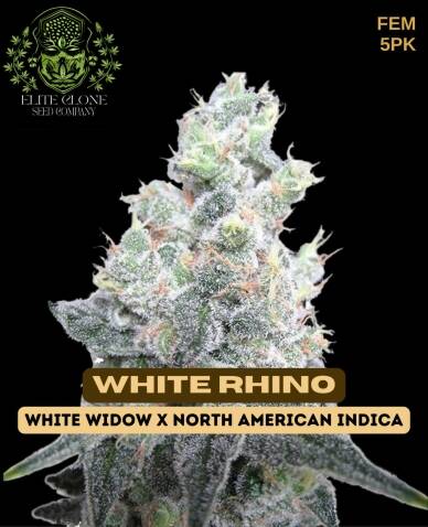 White Rhino S1 (Feminized) (space) Elite Clone Seed Company