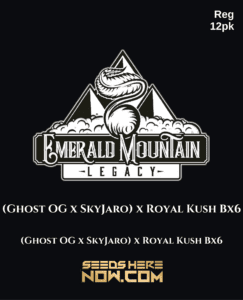 (Ghost OG x SkyJaro) x Royal Kush BX6 (Regular) (space) Emerald Mountain Legacy