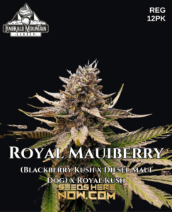 Royal Mauiberry (Regular) (space) Emerald Mountain Legacy