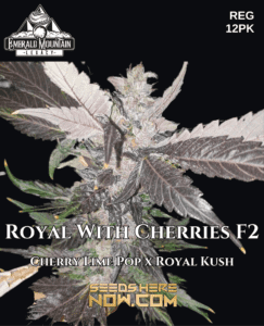 Royal With Cherries F2 (Regular) (space) Emerald Mountain Legacy