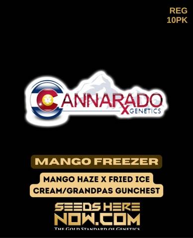 Mango Freezer (Regular) (space) Cannarado Genetics
