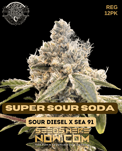 Super Sour Soda (Regular) (space) Super Seed Co.