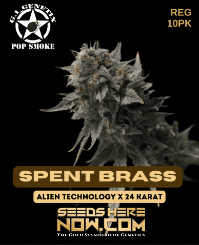 Spent Brass (Regular) (space) G.I. Genetix