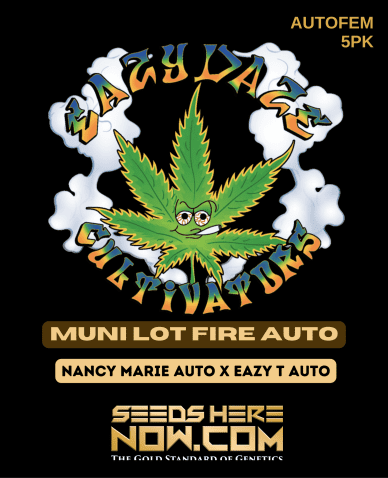 Muni Lot Fire Auto (Autoflower) (space) Eazy Daze Cultivators