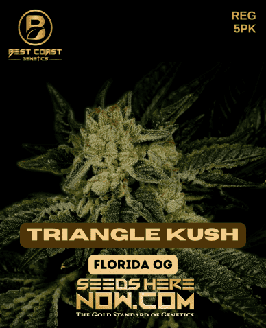 Triangle Kush (Regular) (space) Best Coast Genetics