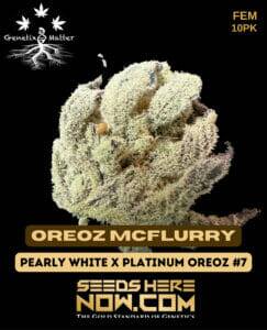 Oreoz McFlurry (Feminized) (space) Genetix Matter
