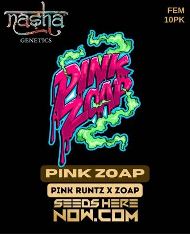 Pink Zoap (Feminized) (space) Nasha Genetics