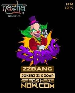 ZZBang (Feminized) (space) Nasha Genetics