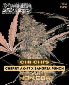 Chi (space) Chi’s (Regular) (space) Dominion Seed Company